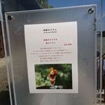 神椿 - この季節のパフェも、魅力でした　2018.10