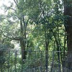 神椿 - レストランから見える風景　2018.10