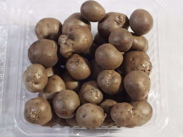 フレッシュいわはし 農産物直売所（猪苗代）- 新鮮野菜と果物の直売