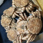 Hairy crab directly delivered from Shiraoi, Hokkaido