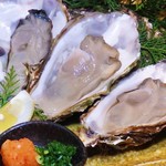Ana Fisheries Noto Oyster