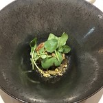 クイントカント - 