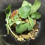 クイントカント - 