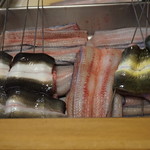 瞬 - 焼く前の鰻 右の黄色がかったヤツが天然鰻(^_^)