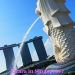 The Fullerton Hotel Singapore - 