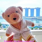 The Fullerton Hotel Singapore - 