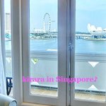 The Fullerton Hotel Singapore - 