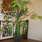 bow cafe - お化粧室のコーナー