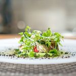 ARMONICO - カマスのカルパッチョ　蕪のフランとピューレ