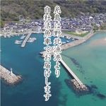 糸島直送海鮮 志まづ - 