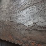 油そば専門店 歌志軒 - 山か海か？