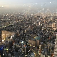 サンシャイン クルーズ・クルーズ - 