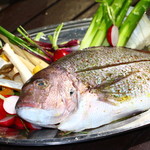 o-shamba-bekyu- - 鮮魚