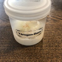 SHOKUDO YArn - 