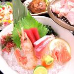 “使用红蓝鳍金枪鱼的生鱼片拼盘+油炸食品”的套餐！ ≪4,000日元套餐