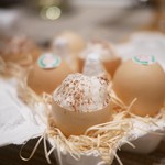 SUGALABO - 土佐ジロープリン