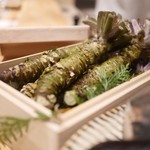 SUGALABO - 関金わさび