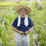 京の野菜とジビエの町家レストラン むすびの - 