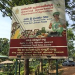 Traditional Food Sales Centre - 