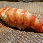 鮨 さいとう - 車海老