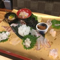 鯖とか烏賊とか真とか - 