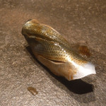 寿し おおはた - 