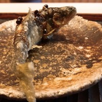 緒方 - 