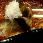 うなぎ 魚政 - ふわふわ坂東太郎