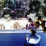 Garden cafe eucalitto - カウンター席から庭を眺める