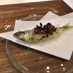 ロムデュタン シニエ ア・ニュ - 