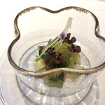 ロムデュタン シニエ ア・ニュ - 