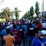 めの娘 - 【2018.11.3(土)】第28回ぐんまマラソン