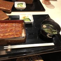 うなぎ 目白ぞろ芽 - 