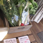 ココペリ - 店頭の野菜