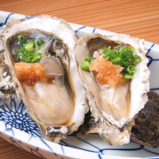 大衆酒場 コトブキ_0