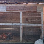 そば玄 藪椿 - 駐車場横に鶏小屋