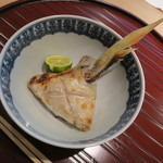 青華こばやし - 30年11月　縞鯵カマ塩焼き