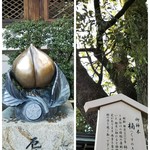 鶴屋吉信 - 近くにある晴明神社