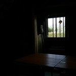 長尾と珈琲 - 店内から外をながめると