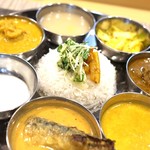 スパイス料理ナッラマナム - 