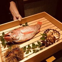 のどぐろ専門 銀座中俣 はなれ - 