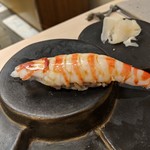 鮨みやもと - 握り　車海老