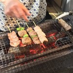 もつ焼き勝利はなれ - もつ焼き勝利はなれ 中目黒店(東京都目黒区青葉台)おまかせ5本