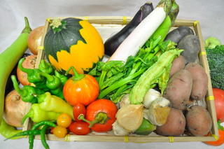 Amour - 南房総館山産　朝採れ有機野菜 　お客様のお好みの調理法でご提供いたします。