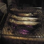 ヤマト - ししゃもオス２メス１