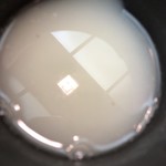 浅草じゅうろく - 蕎麦湯濃い