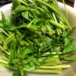 浅草じゅうろく - 自宅でセリ茎