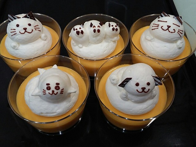 European Kashi Enchante photo 5