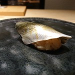 鮨 唐島 - コハダ