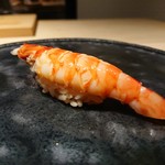 鮨 唐島 - 車海老